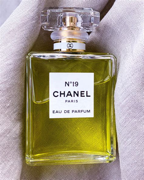 chanel 19 fragrantica|chanel 19 perfume price.